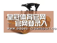 皇冠体育官网第二系列