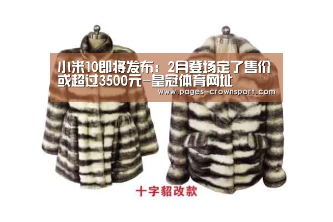 小米10即将发布:2月登场定了售价或超过3500元-皇冠体育网址(图1) 皇冠体育官网