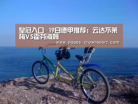 皇冠入口-19日德甲推荐:云达不莱梅VS霍芬海姆(图1) 皇冠入口