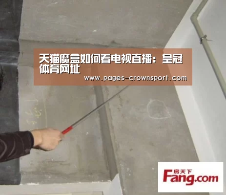 皇冠体育app